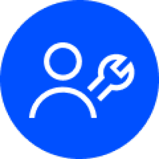 Globe icon