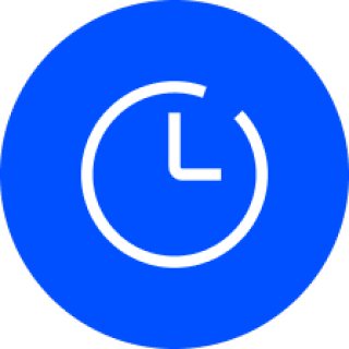 Globe icon