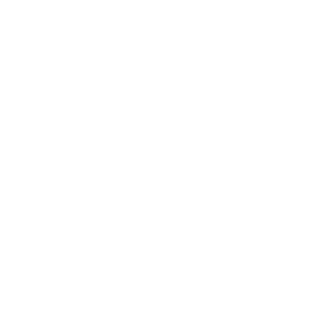 Dedicated Internet Access (DIA)